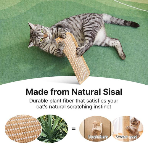 🐱Interactive Catnip Chew Toy