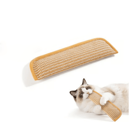 🐱Interactive Catnip Chew Toy