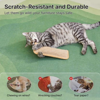 🐱Interactive Catnip Chew Toy
