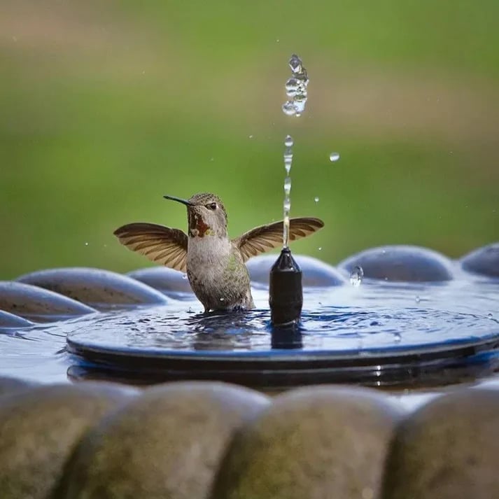 📢Hot Sales 50% OFF🏆Solar-powered  fountains🌞