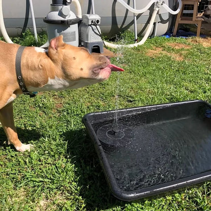 📢Hot Sales 50% OFF🏆Solar-powered  fountains🌞